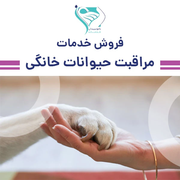 خدمات مراقبت از حیوانات خانگی